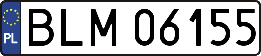 BLM06155