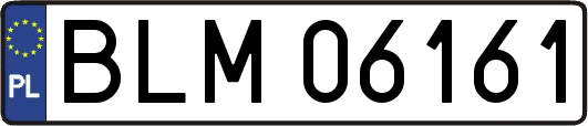 BLM06161