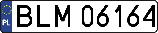 BLM06164