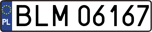BLM06167