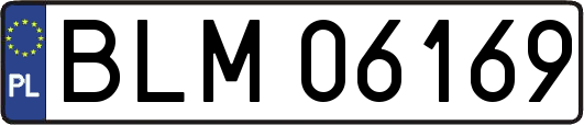 BLM06169