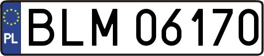 BLM06170