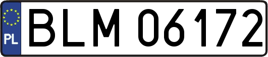 BLM06172