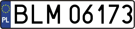 BLM06173