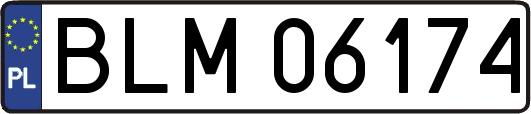 BLM06174