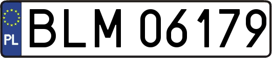 BLM06179