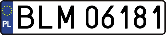 BLM06181