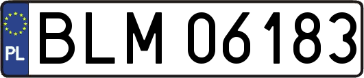 BLM06183