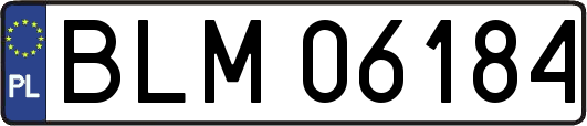 BLM06184