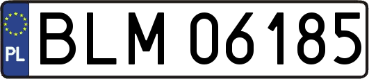 BLM06185