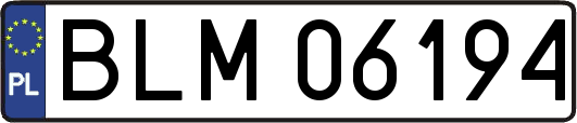BLM06194