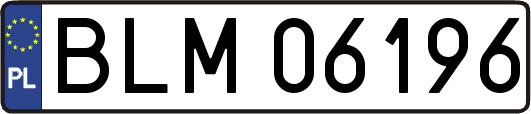 BLM06196