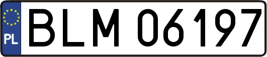 BLM06197