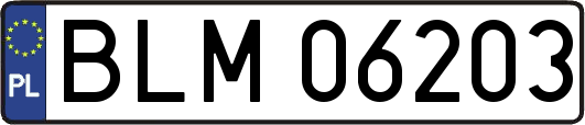 BLM06203