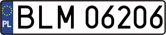 BLM06206