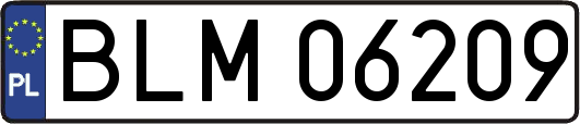 BLM06209