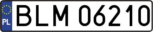 BLM06210