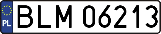 BLM06213