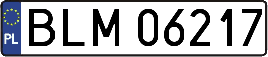 BLM06217