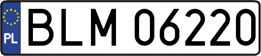BLM06220