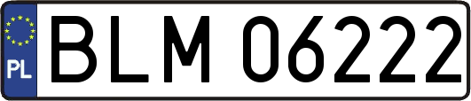 BLM06222