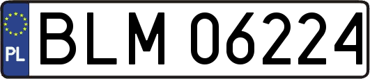 BLM06224