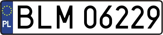 BLM06229