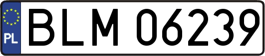 BLM06239