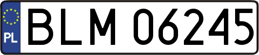 BLM06245