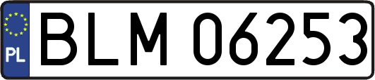 BLM06253