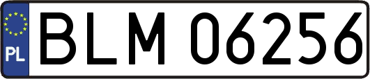 BLM06256