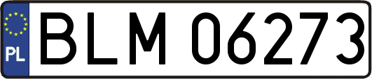 BLM06273
