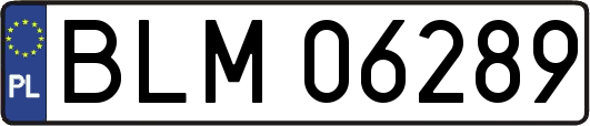 BLM06289