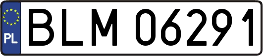 BLM06291