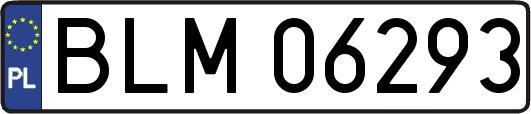 BLM06293