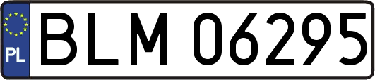BLM06295