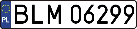 BLM06299