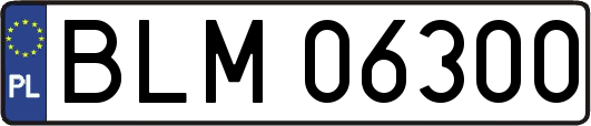 BLM06300