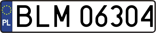 BLM06304