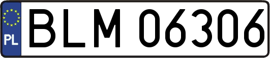 BLM06306