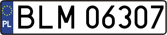 BLM06307