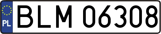 BLM06308