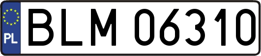 BLM06310