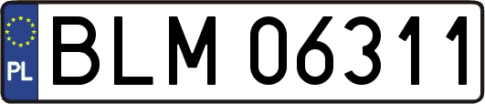 BLM06311