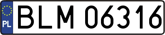 BLM06316
