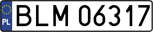 BLM06317