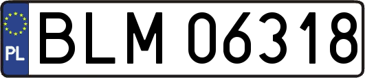 BLM06318