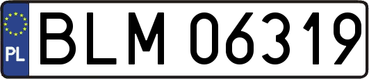 BLM06319