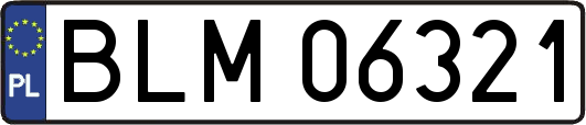 BLM06321