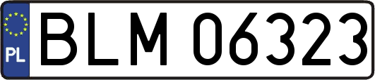 BLM06323